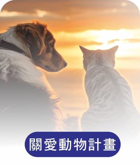 關愛動物