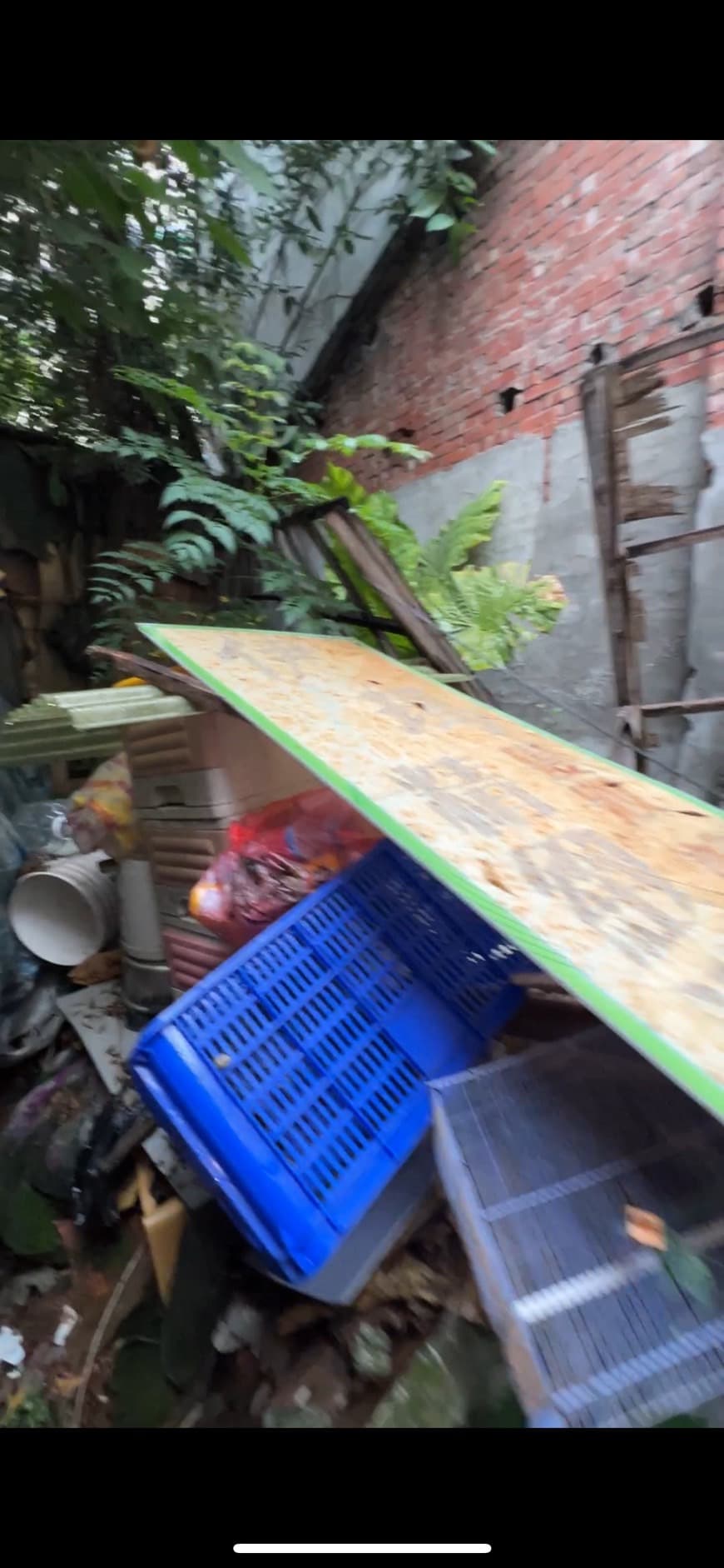 淨化前 — 全屋紀錄